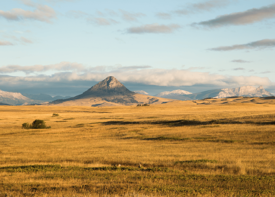 #24. Montana