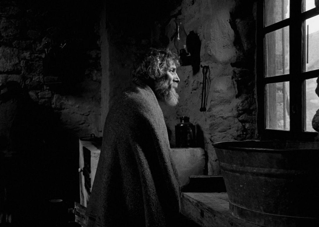 #18. The Turin Horse (2011)