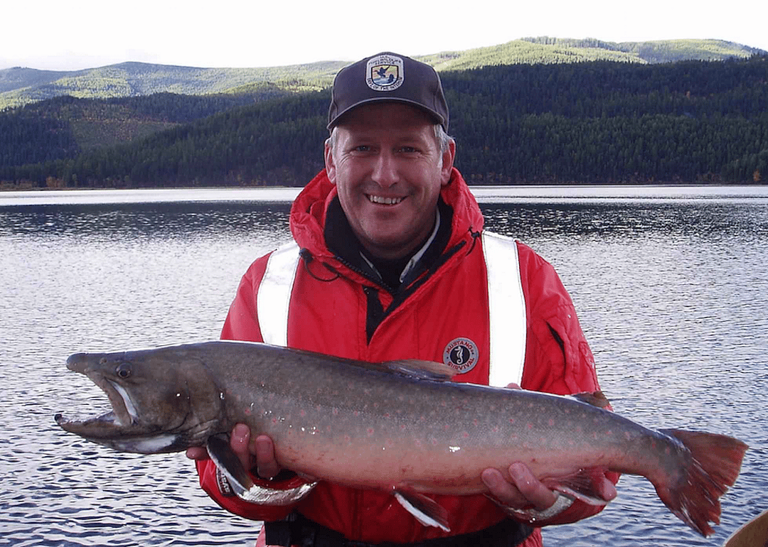 Washington: Bull trout