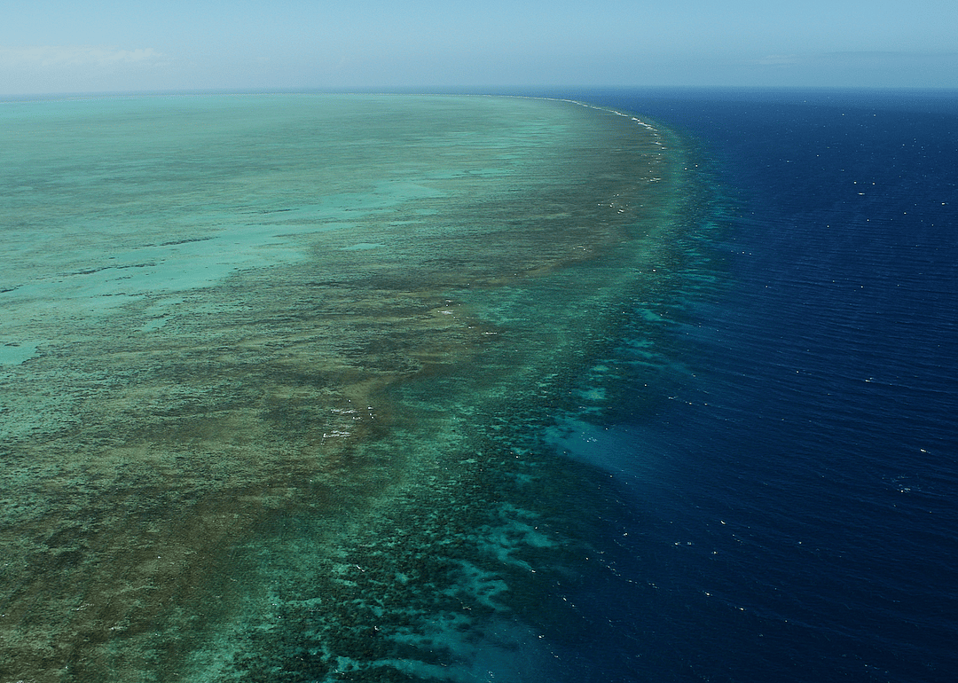 Coral reefs come in different shapes and sizes