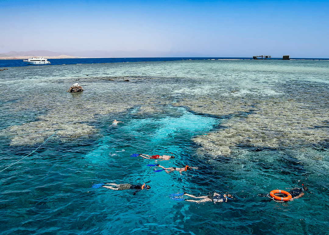 But coral reefs also struggle with too much tourism