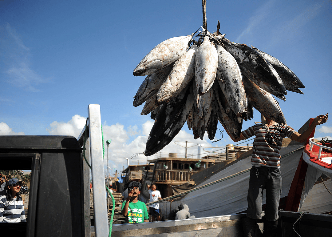 Overfishing and coral harvesting damage reefs as well