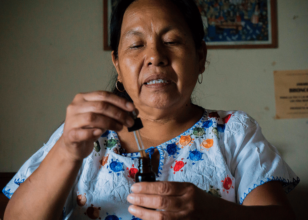 Southern Mexico has the largest number of indigenous people