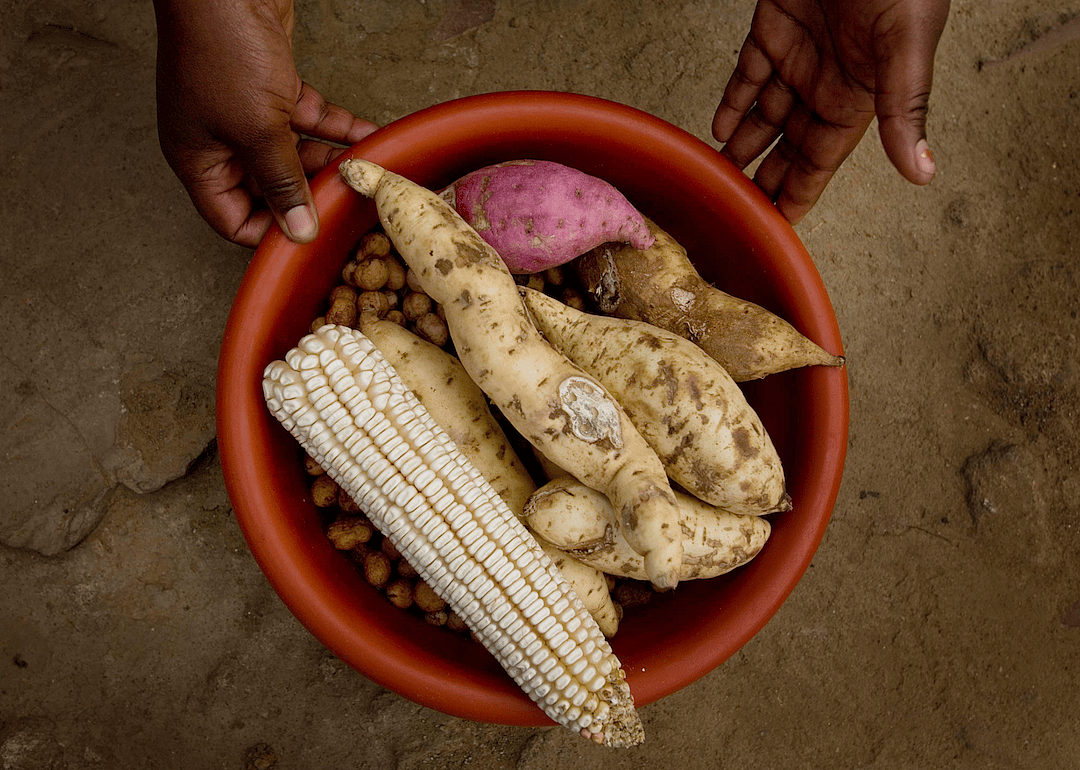 2016: Global Food Security Act