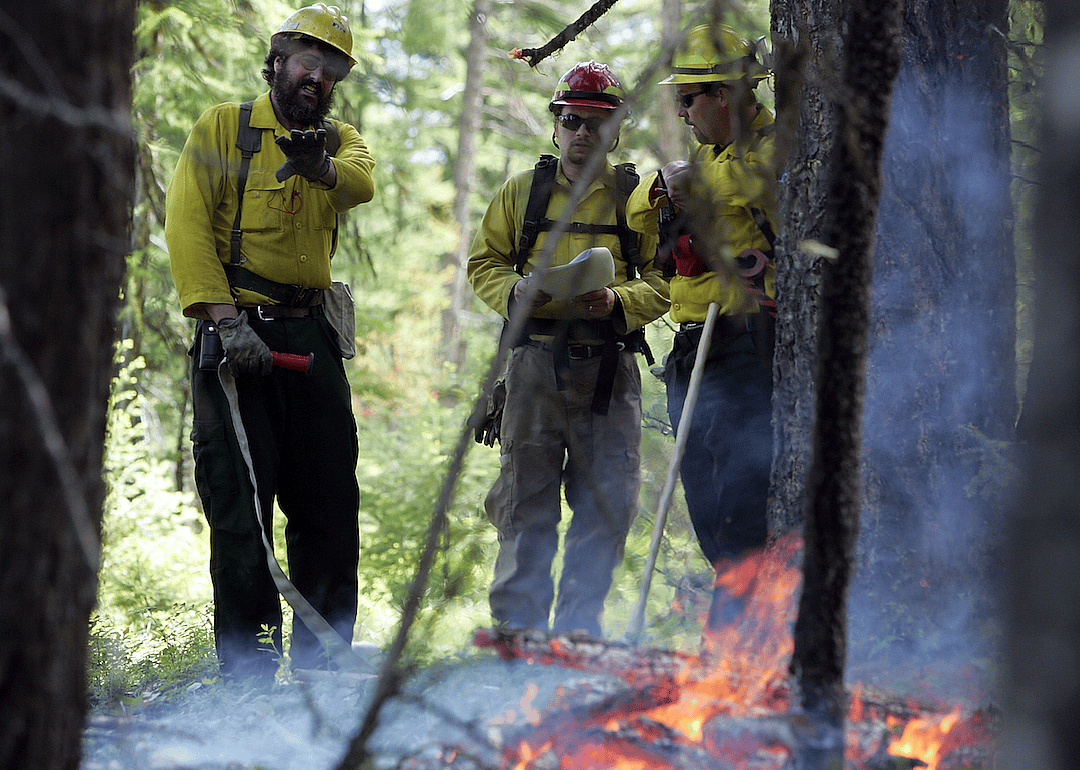 #12. Forest fire inspectors and prevention specialists