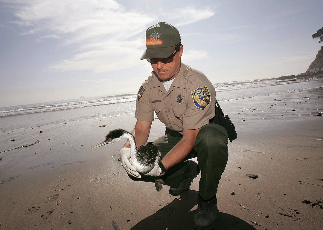 #14. Fish and game wardens