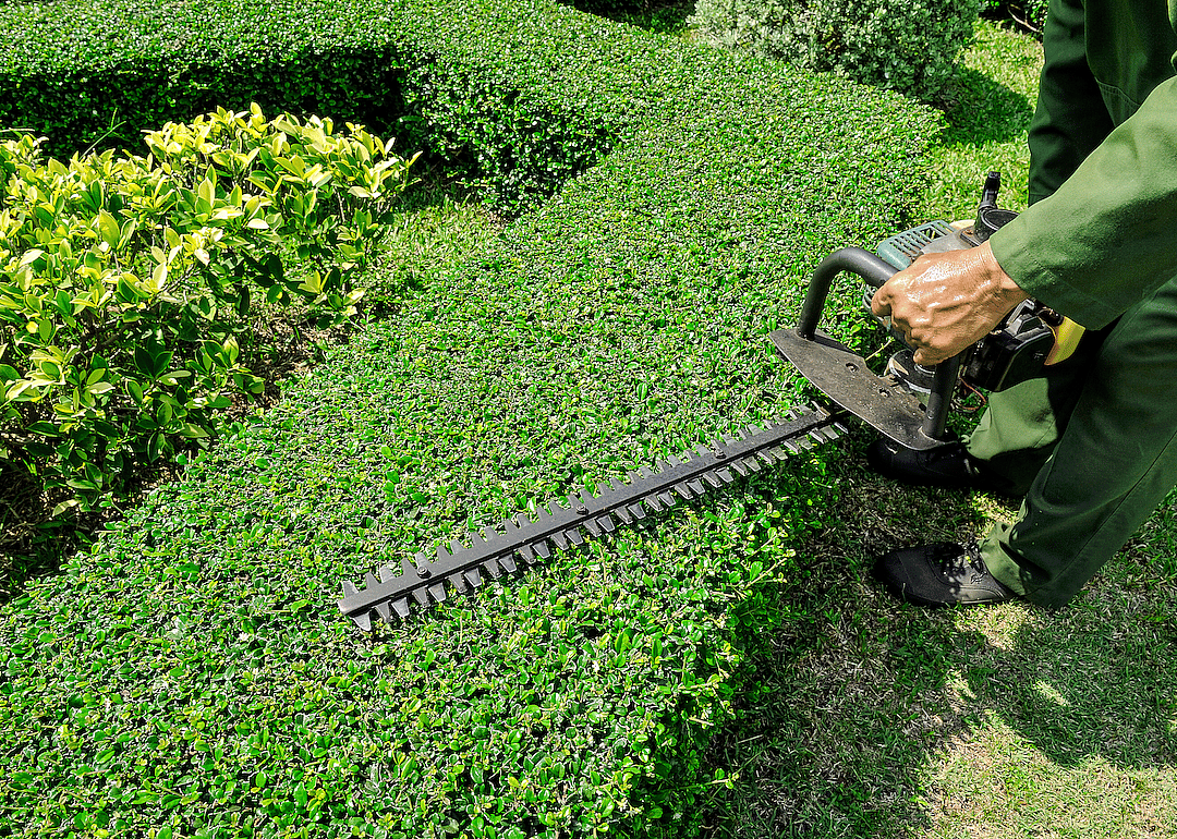 #36. Landscaping and groundskeeping workers