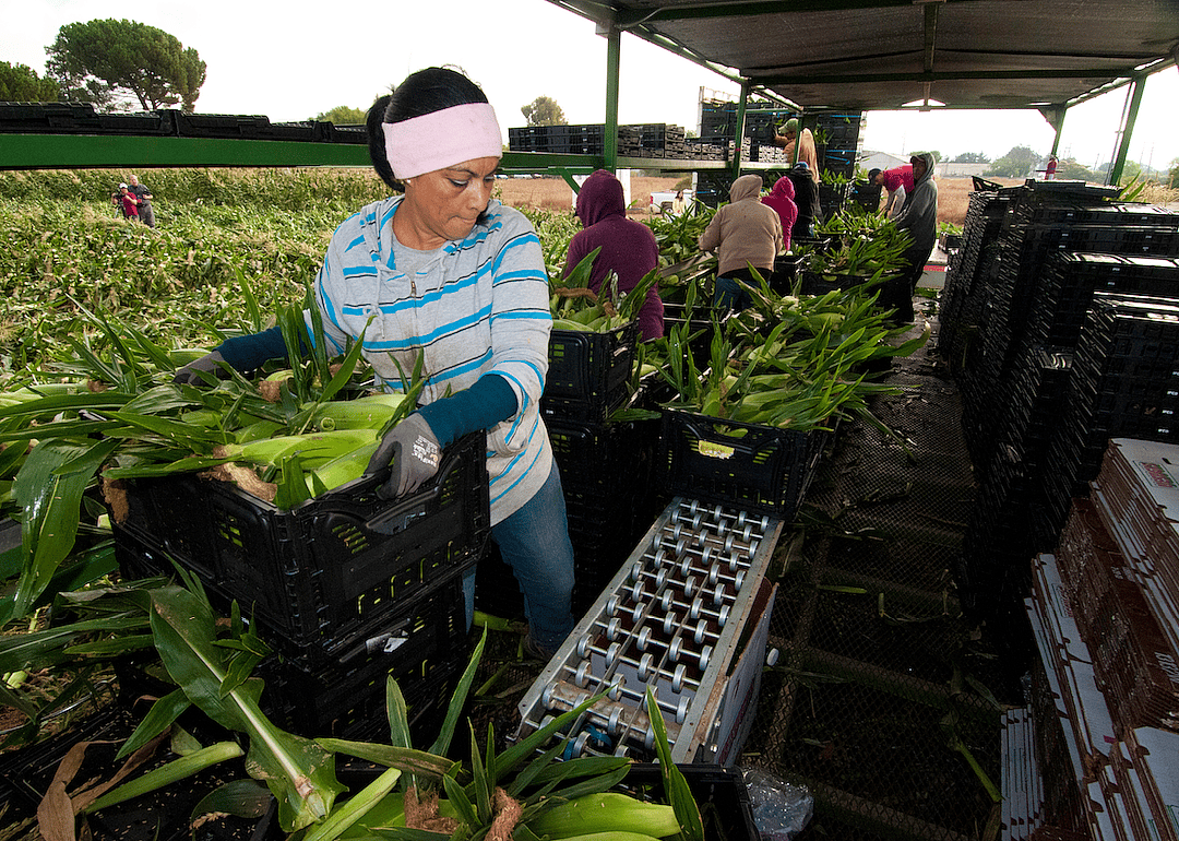 #43. Farmworkers and laborers, crop, nursery, and greenhouse