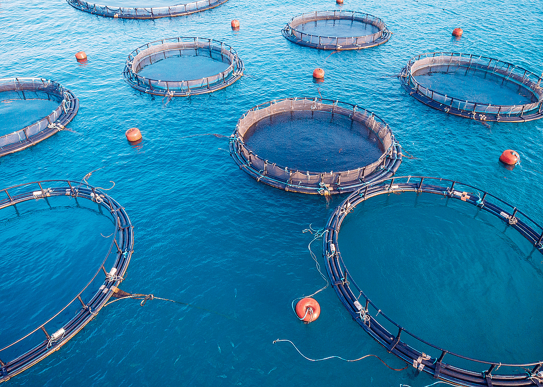 #42. Farmworkers, farm, ranch, and aquacultural animals