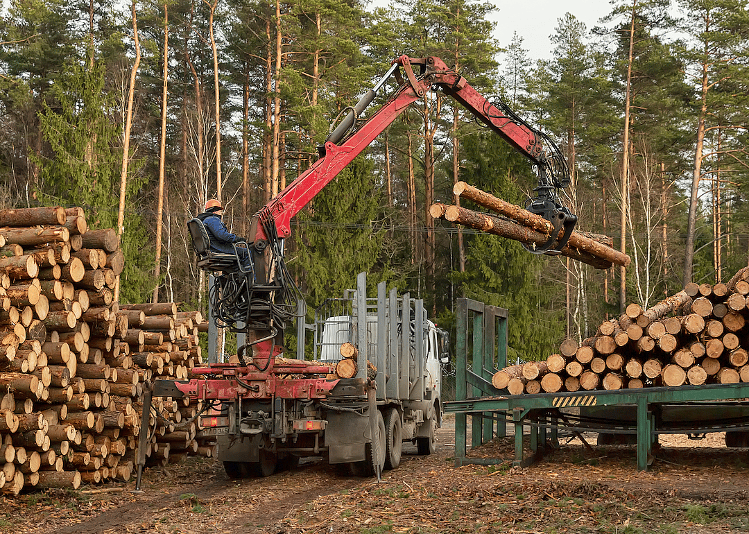 #21. Logging equipment operators
