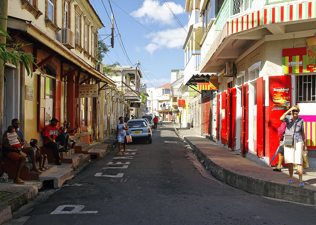 #49. Dominica