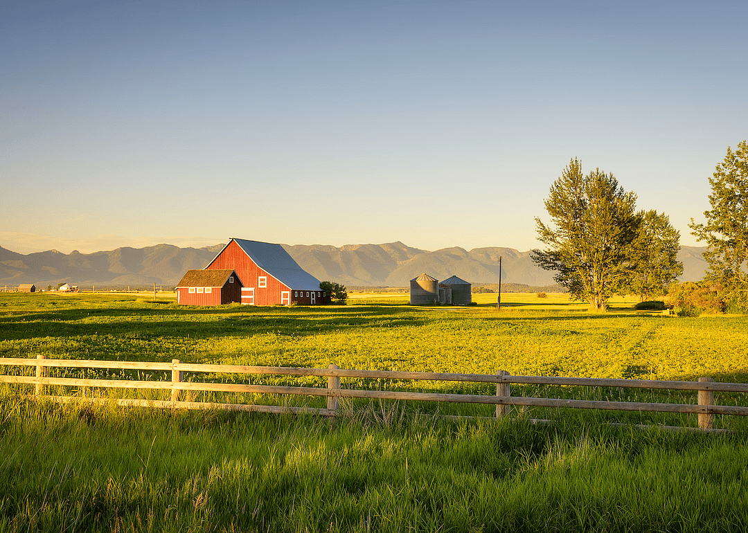 #49. Montana