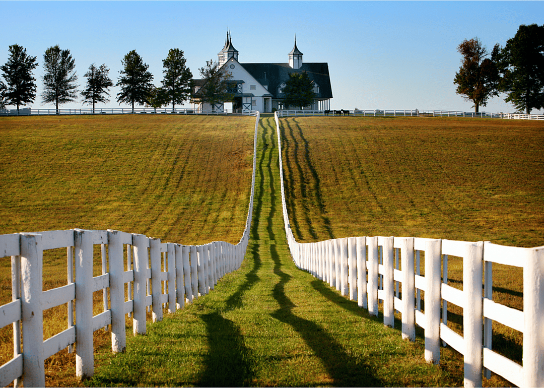 Rural Kentucky horse farm.