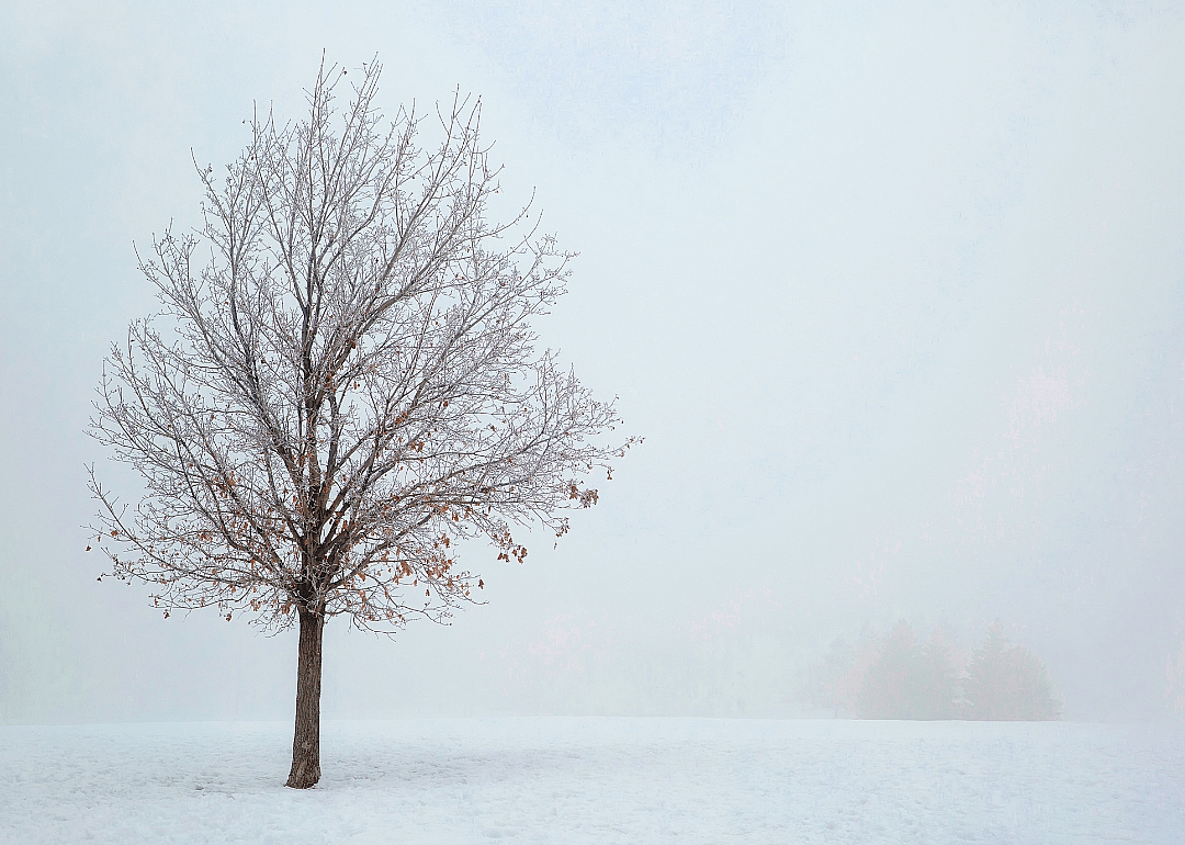 Rural winter scene.