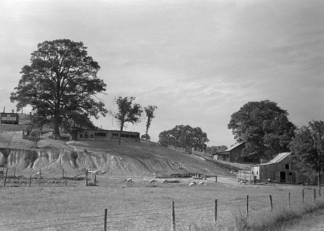 Eroded farmland in Martin County, Indiana in 1938