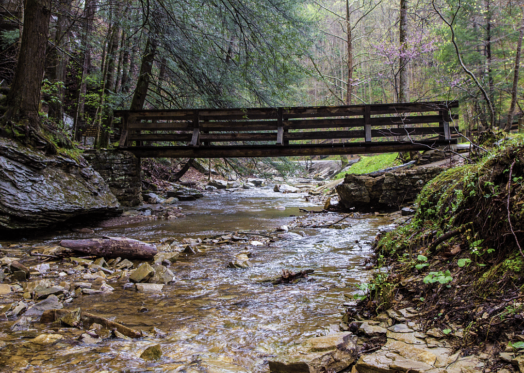 #46. Webster County (tie)