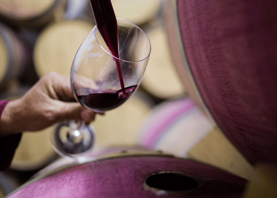 Collecting sample of wine for testing