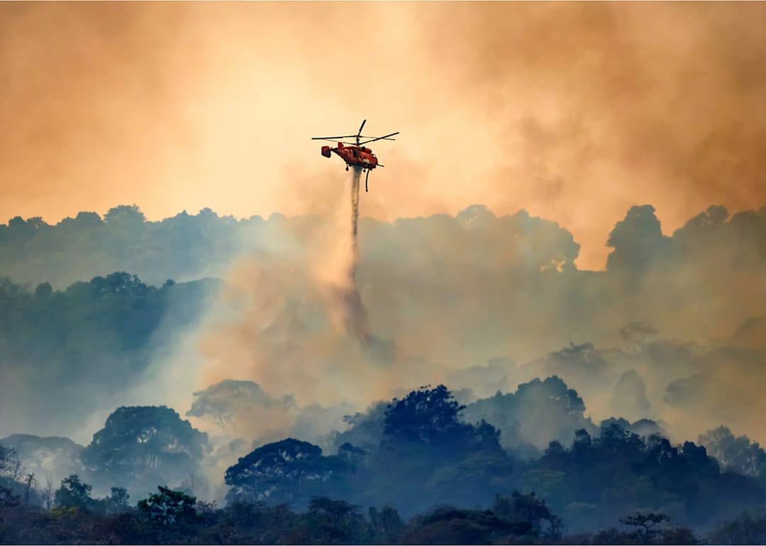 Increased wildfires worsen air quality for allergy sufferers