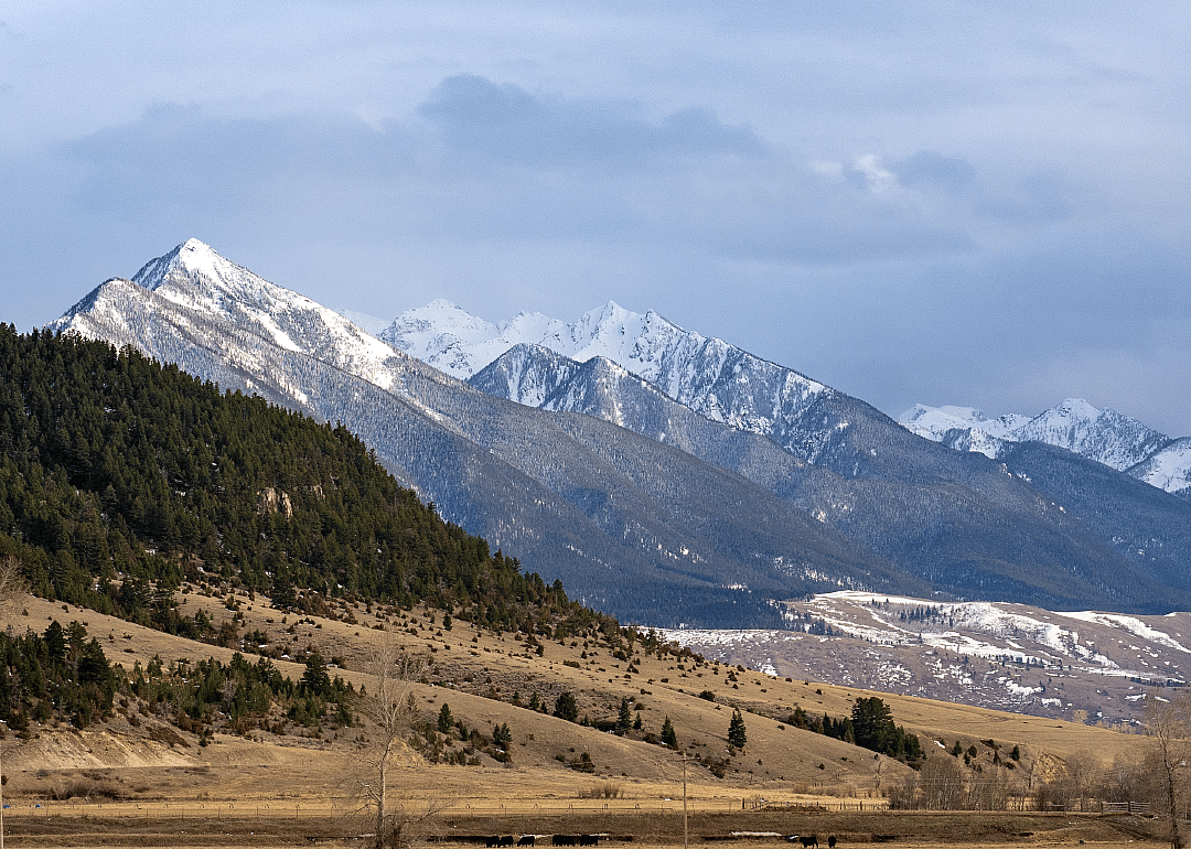 Montana