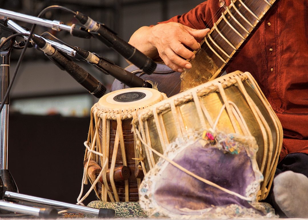 Person playing sitar close up.