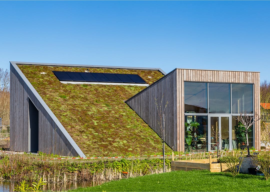 Green roof