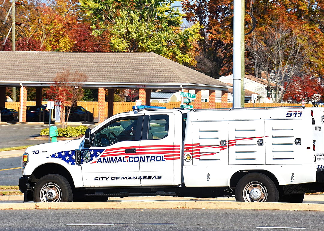 #25. Animal control workers