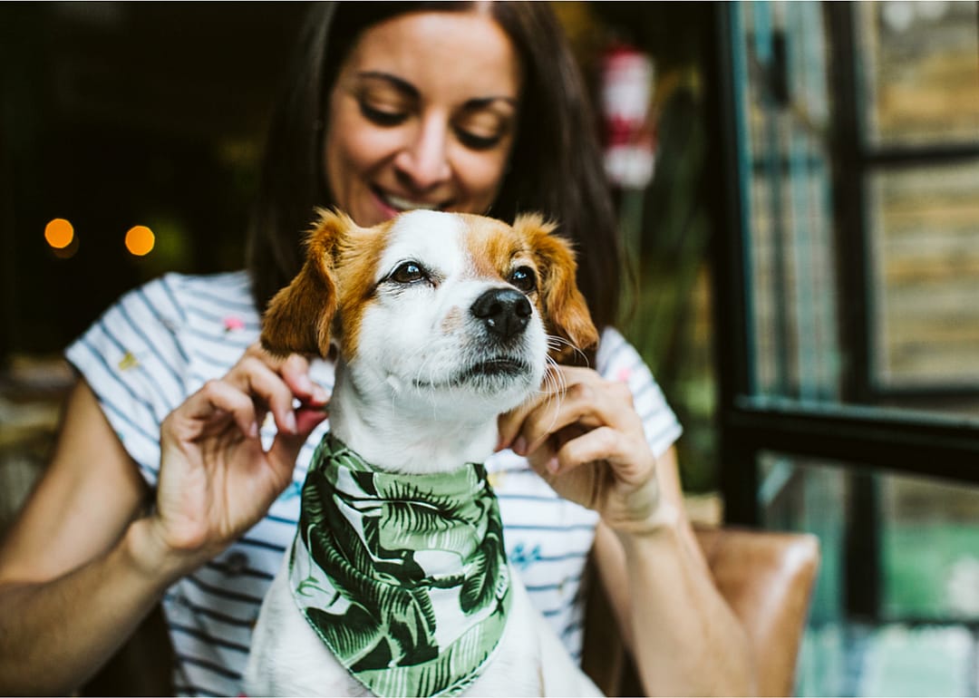 How much do members of each generation spend on their pets every year?
