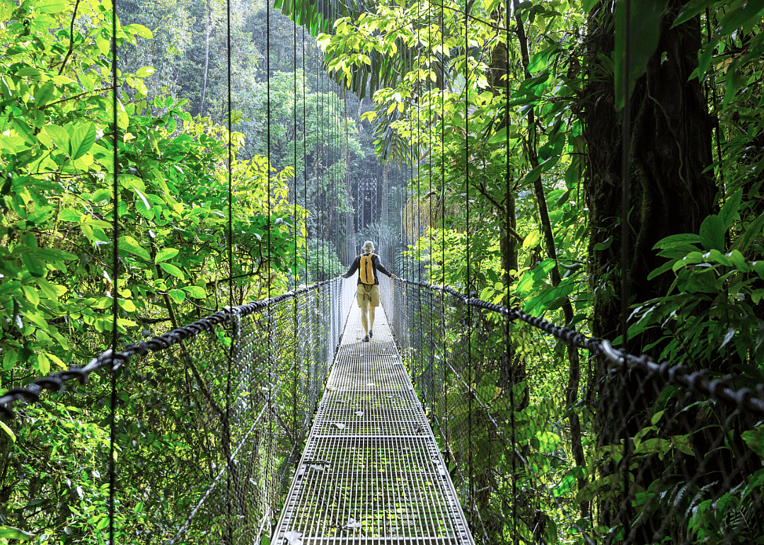 Person hiking in rainforest of Costa Rica.