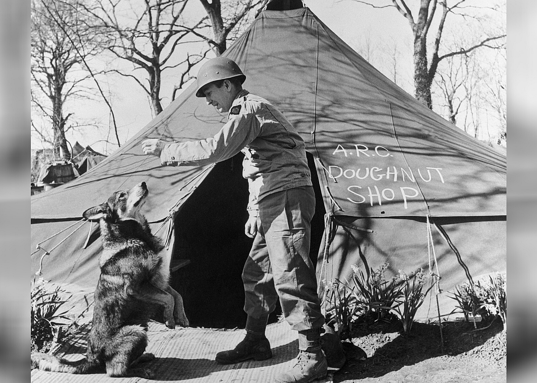 1943: A dog is decorated