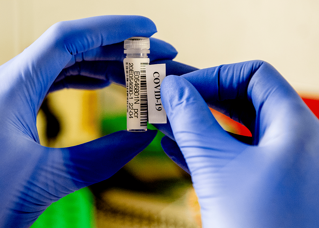 Specimens tested