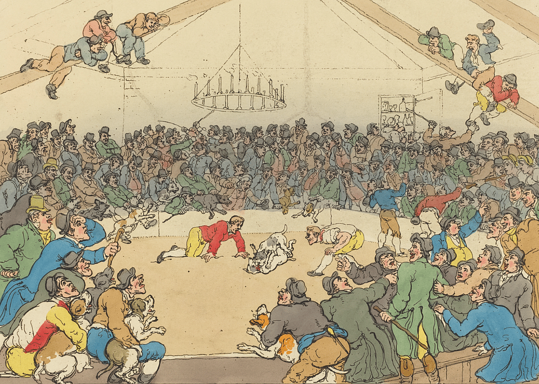1835: Modern dogfighting emerges