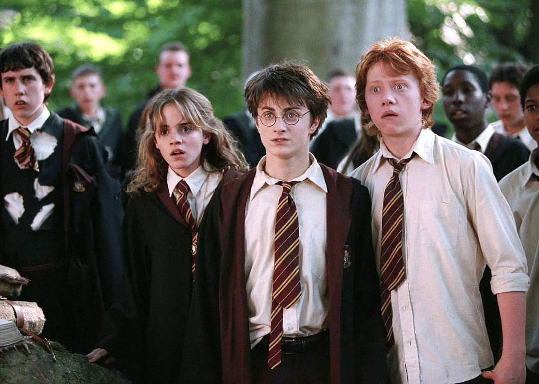 #6. Harry Potter