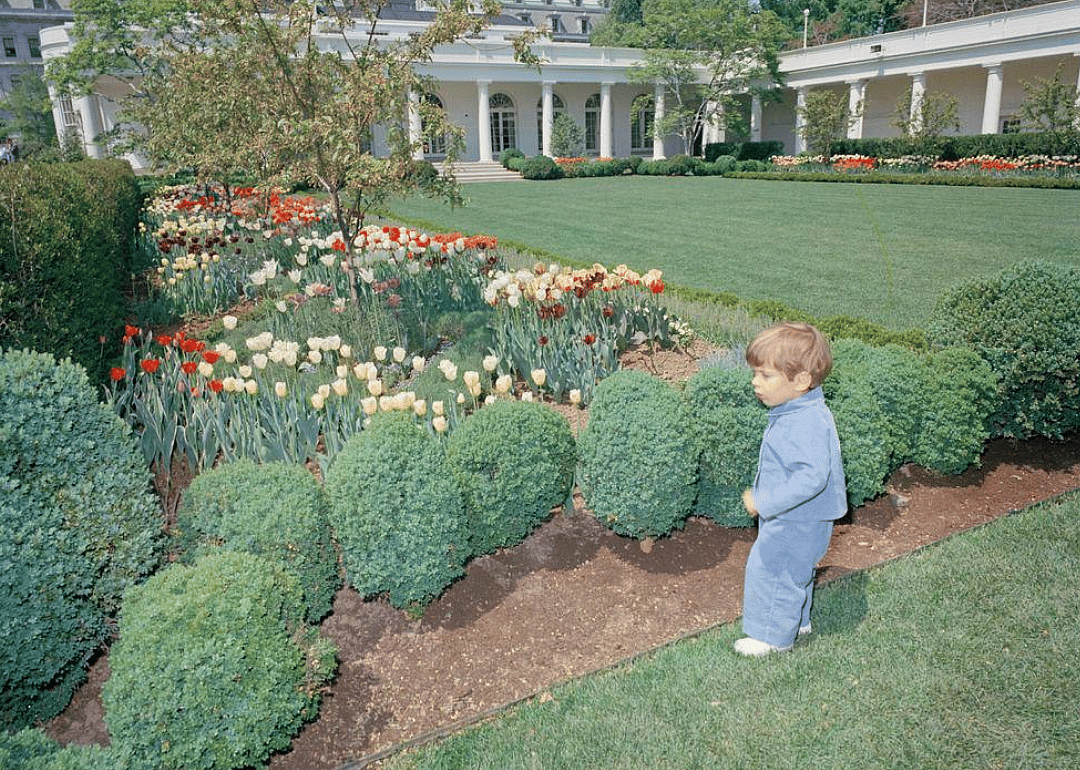 1963: JFK Jr. inspects the roses
