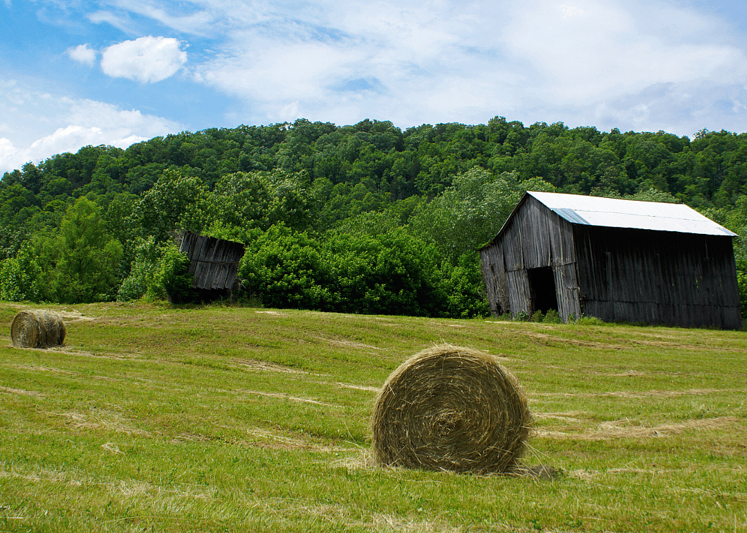 #43. Trimble County