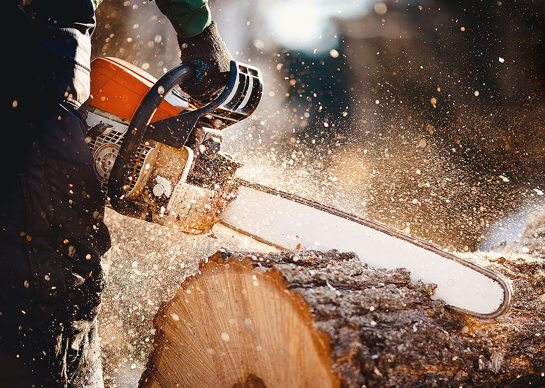 #32. Logging workers, all other