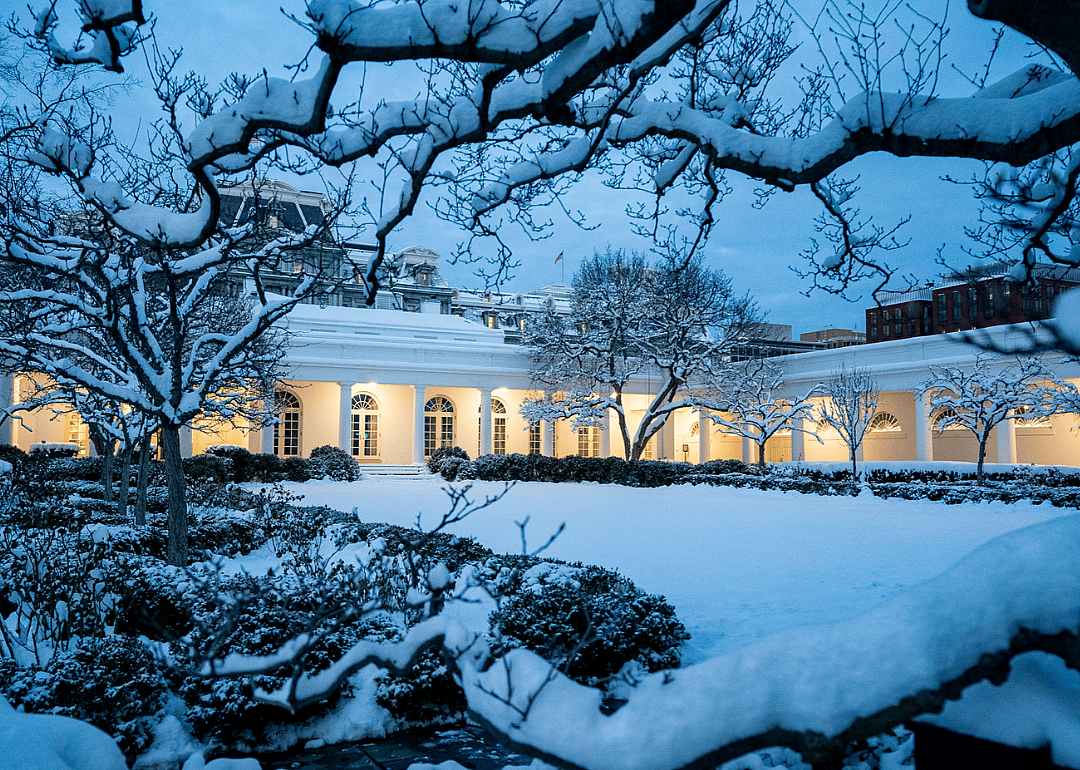 2019: The Rose Garden covered in snow