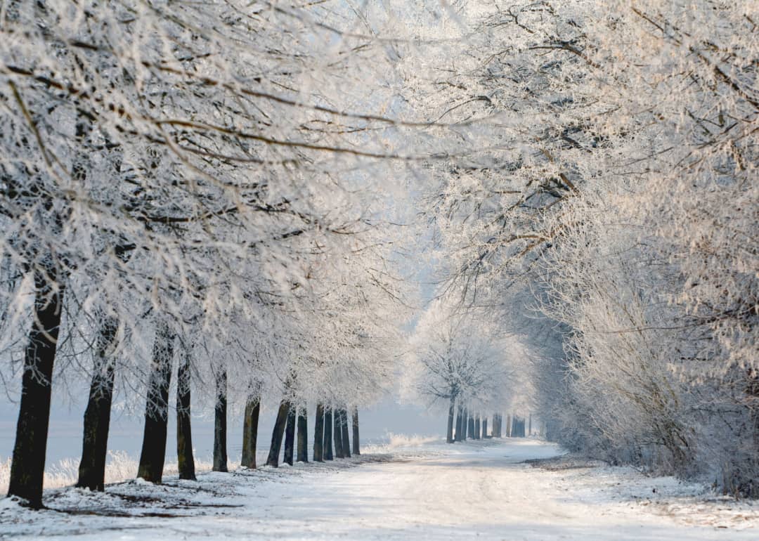 Snow covered street in sun