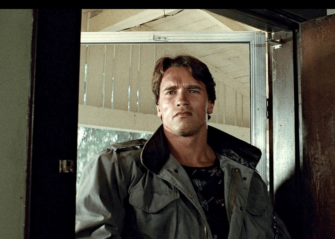 #33. Terminator
