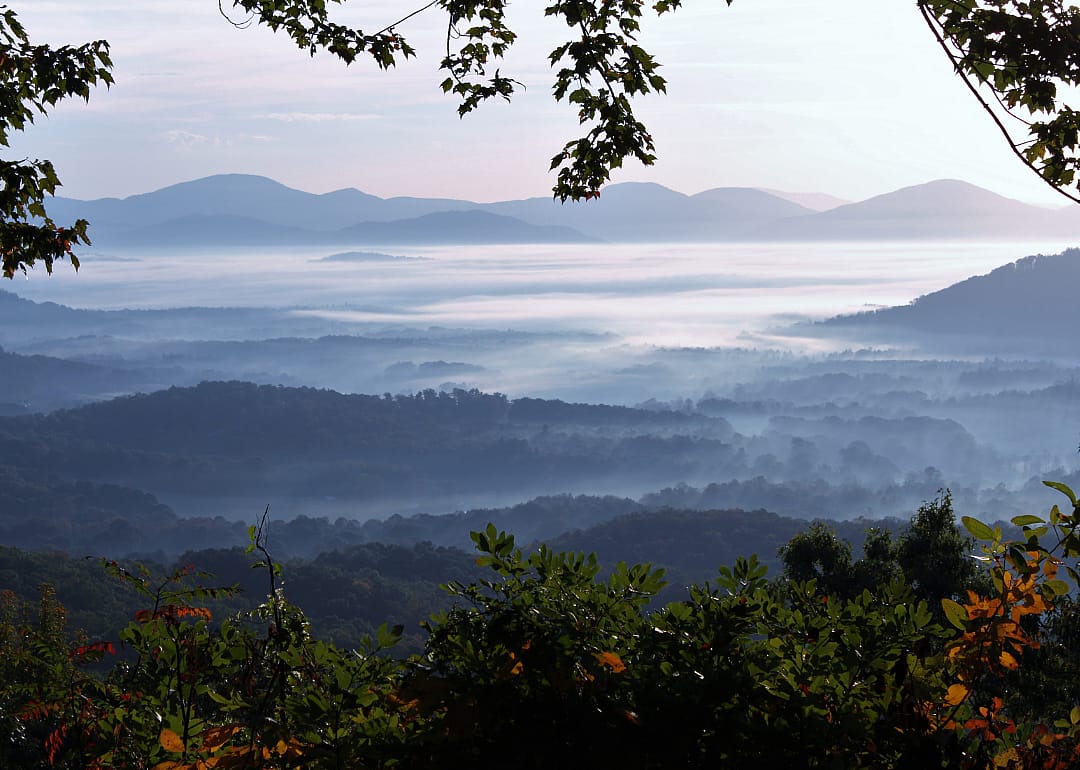 #1. Craig County