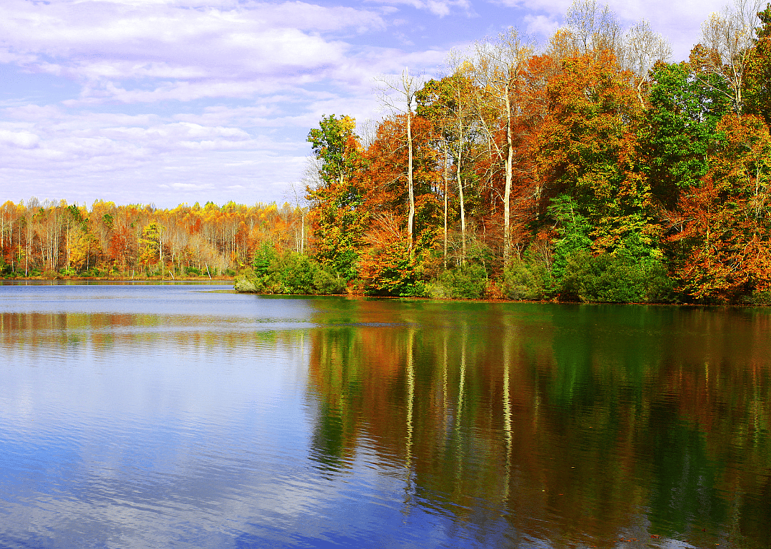 #16. Gloucester County