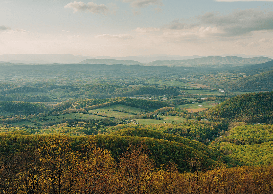 #33. Carroll County