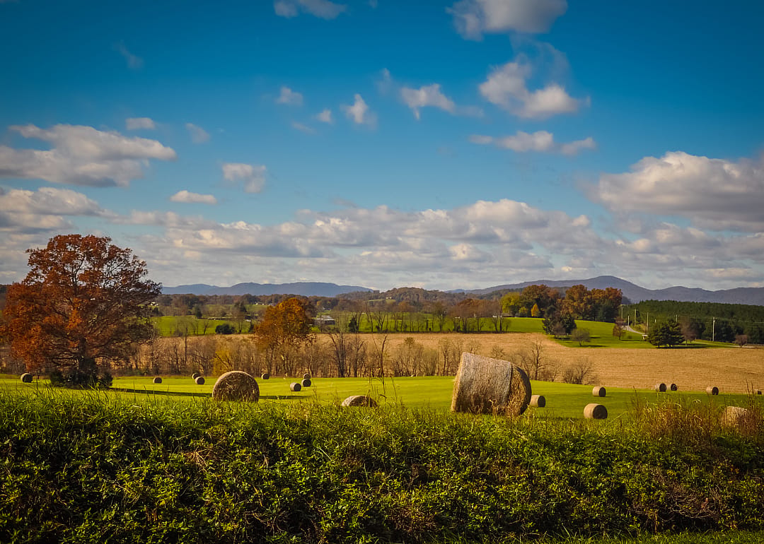 #31. Bedford County