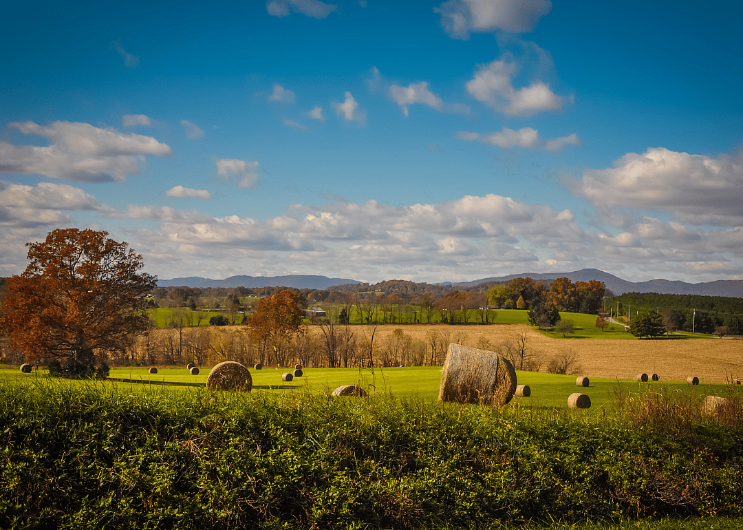 #39. Bedford County