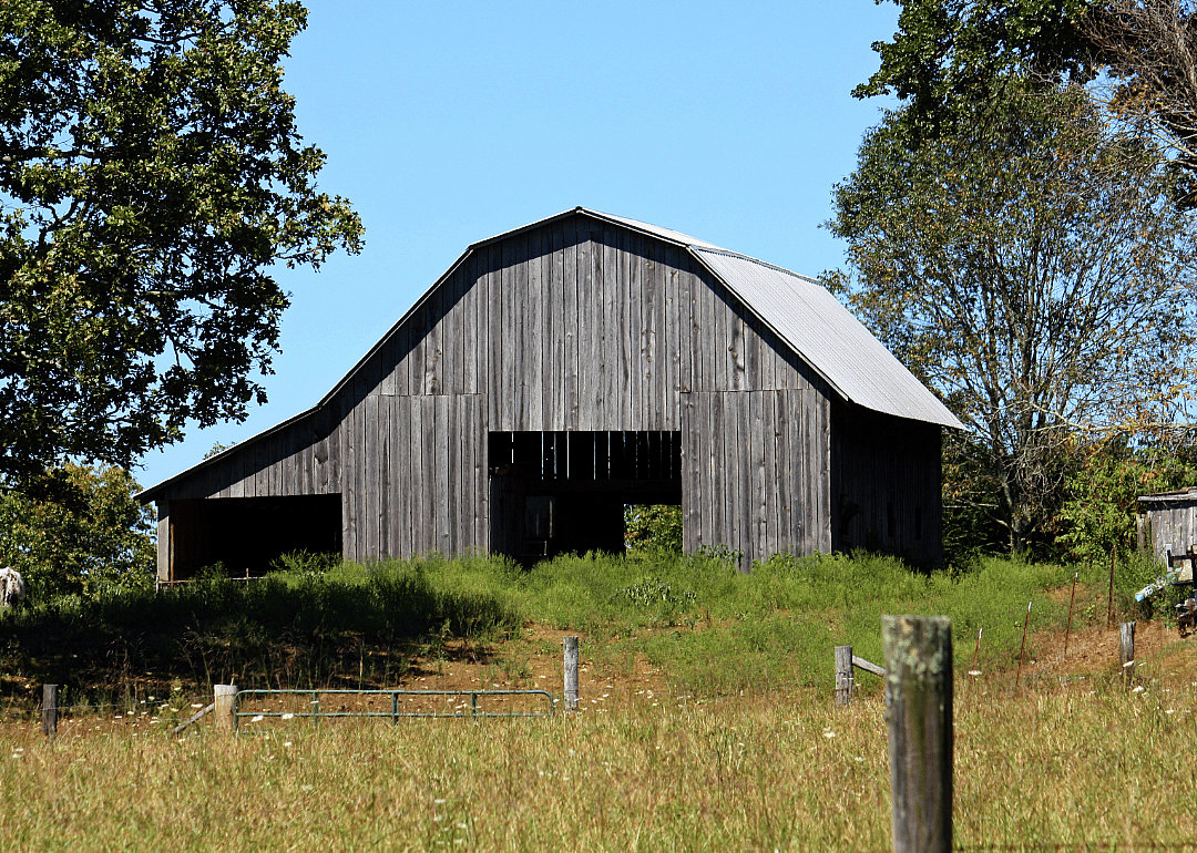 #39. Union County