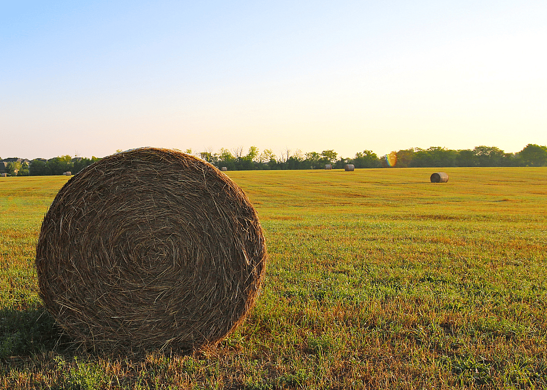 #49. Allen County