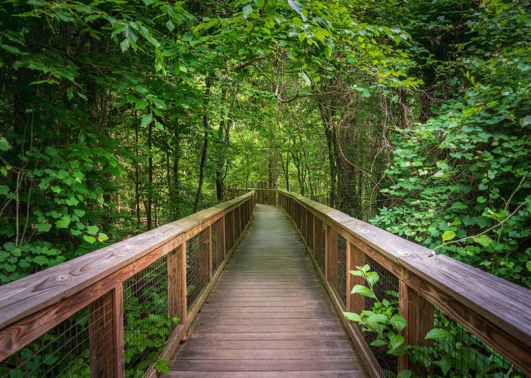 #5. Congaree National Park (South Carolina)