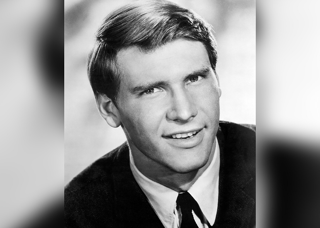 Harrison Ford portrait