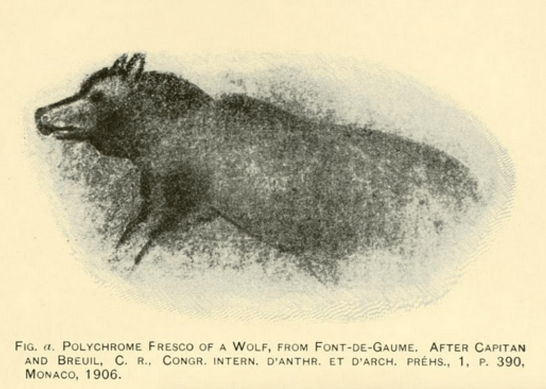 45,000 years ago: Castaway wolves find comfort in close human contact