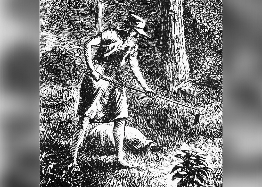 Johnny Appleseed