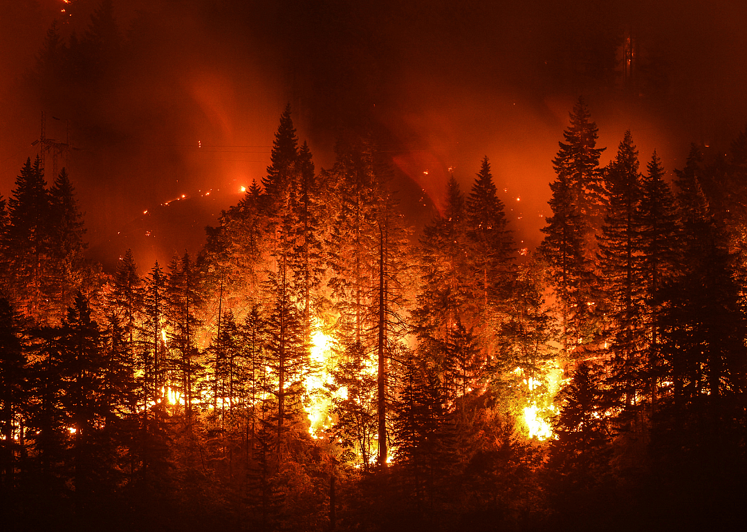 Eagle Creek Wildfire